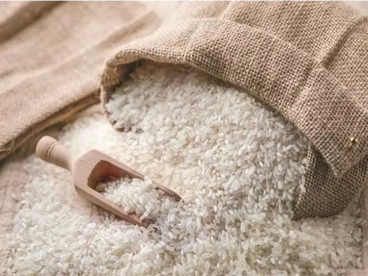 Rice Export: India's rice export stable in 2024 despite restrictions, record growth in Basmati